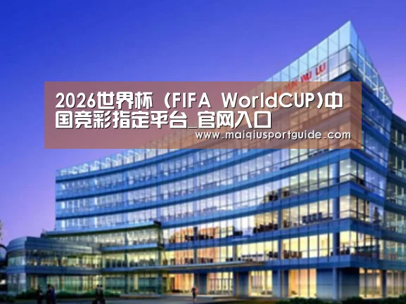 世界杯竞猜平台案例展示三