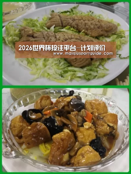 2026世界杯投注平台-计划评价(图3) 世界杯下注入口