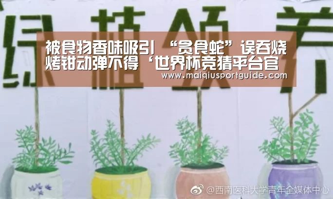 2026世界杯投注平台