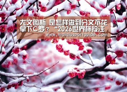 世界杯下注入口