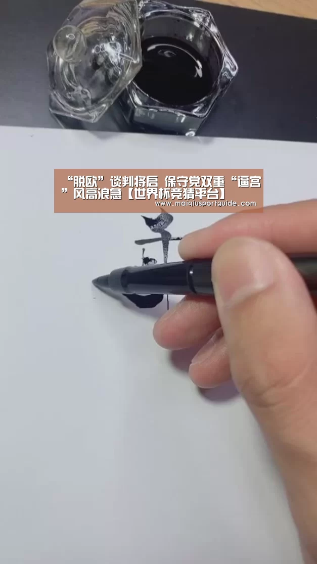 “脱欧”谈判将启 保守党双重“逼宫”风高浪急【世界杯竞猜平台】(图3) 世界杯竞猜平台