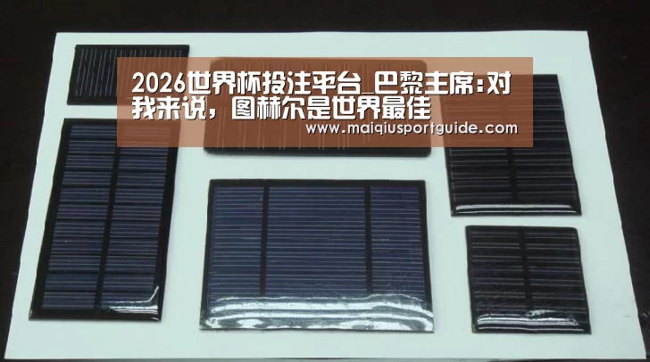 2026世界杯投注平台_巴黎主席:对我来说,图赫尔是世界最佳(图2) 世界杯下注入口