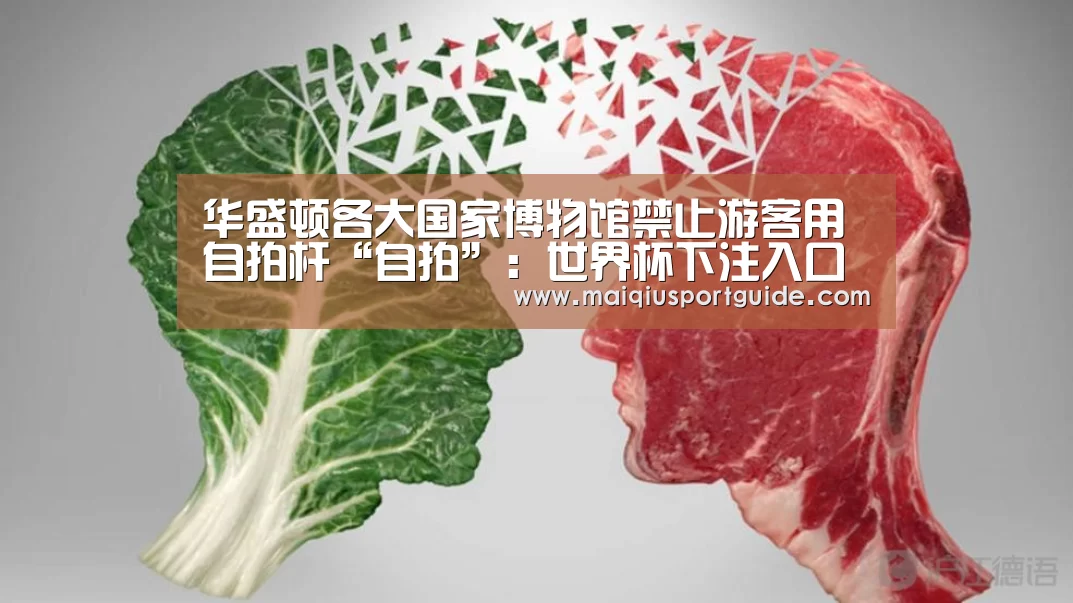 华盛顿各大国家博物馆禁止游客用自拍杆“自拍”:世界杯下注入口(图4) 世界杯下注入口
