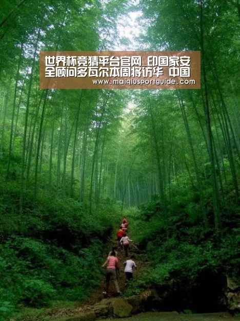 世界杯下注入口