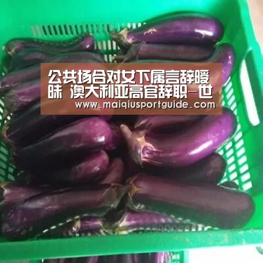 公共场合对女下属言辞暧昧 澳大利亚高官辞职-世界杯竞猜平台官网(图4) 世界杯竞猜平台官网
