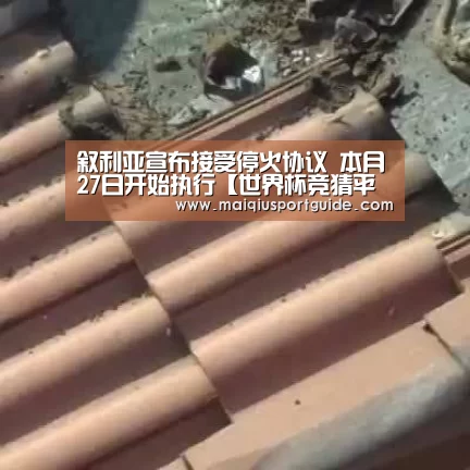 叙利亚宣布接受停火协议 本月27日开始执行【世界杯竞猜平台】(图1) 世界杯竞猜平台官网