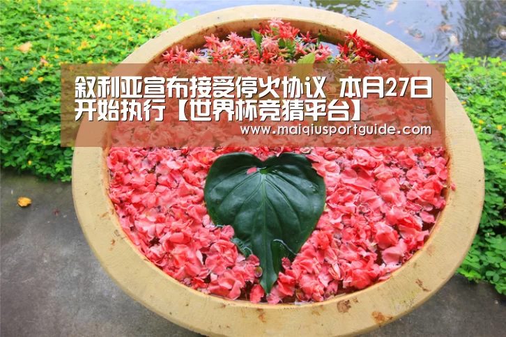叙利亚宣布接受停火协议 本月27日开始执行【世界杯竞猜平台】(图2) 世界杯竞猜平台