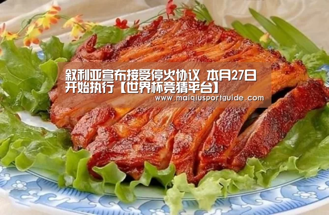 叙利亚宣布接受停火协议 本月27日开始执行【世界杯竞猜平台】(图3) 世界杯竞猜平台