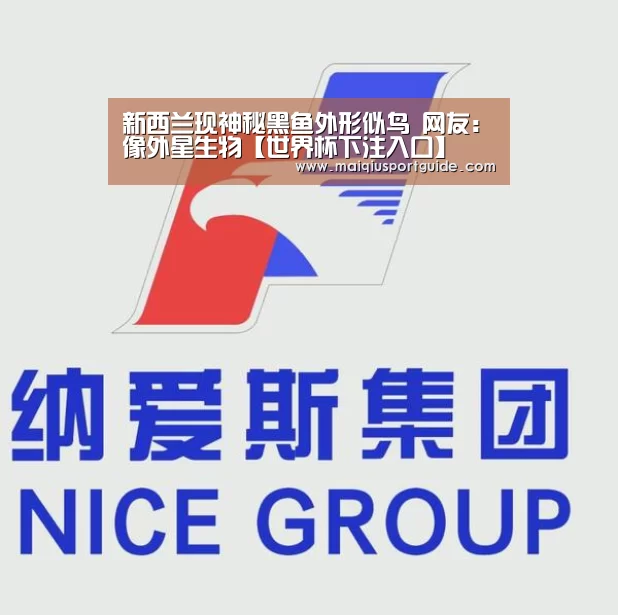 新西兰现神秘黑鱼外形似鸟 网友:像外星生物【世界杯下注入口】(图2) 世界杯竞猜平台官网