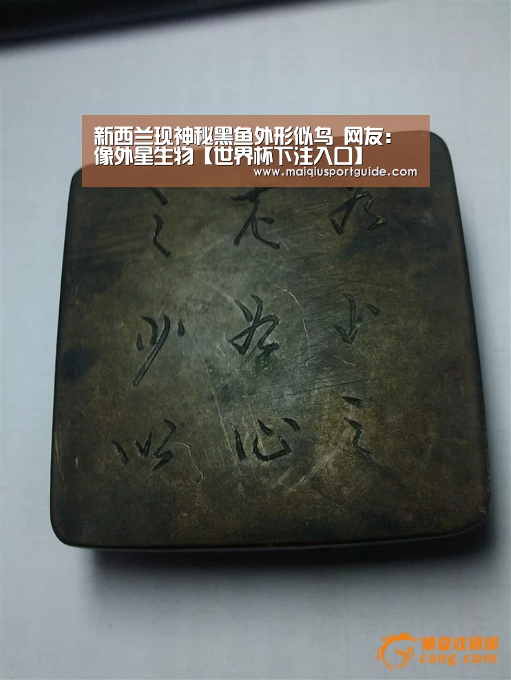 新西兰现神秘黑鱼外形似鸟 网友:像外星生物【世界杯下注入口】(图1) 世界杯下注入口