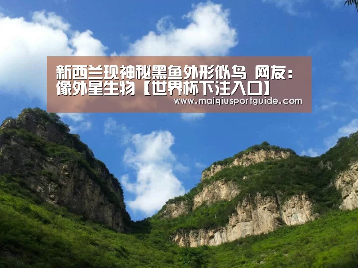 新西兰现神秘黑鱼外形似鸟 网友:像外星生物【世界杯下注入口】(图3) 世界杯下注入口